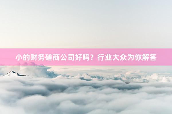 小的财务磋商公司好吗？行业大众为你解答